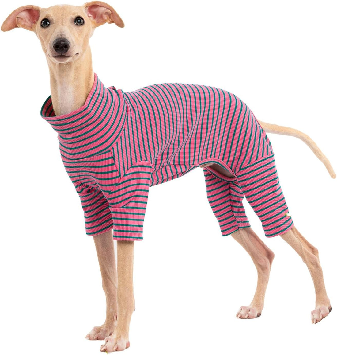 Dog Sweaters for Small Dogs Girls Boys