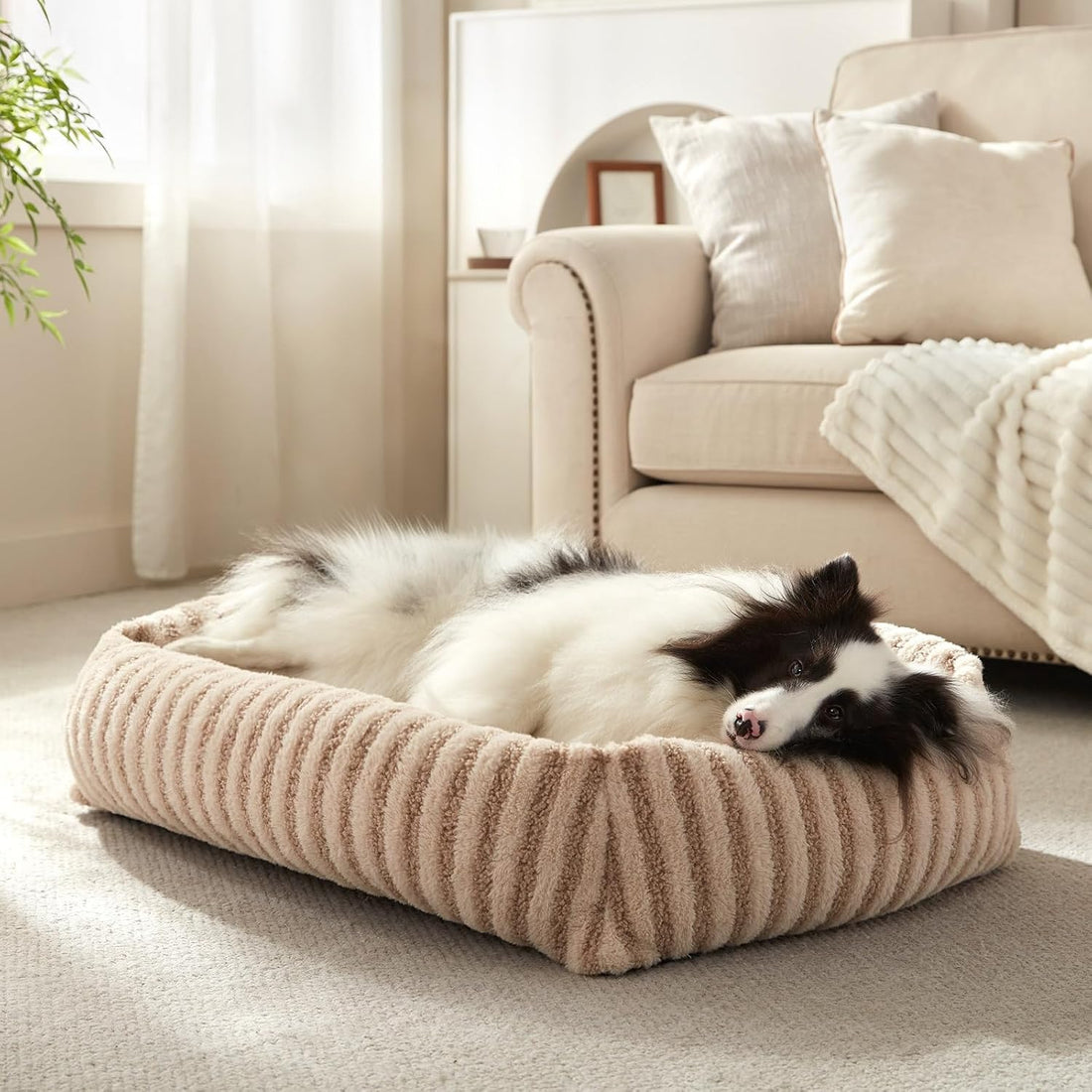 MIXJOY Dog Bed Medium Size Dog