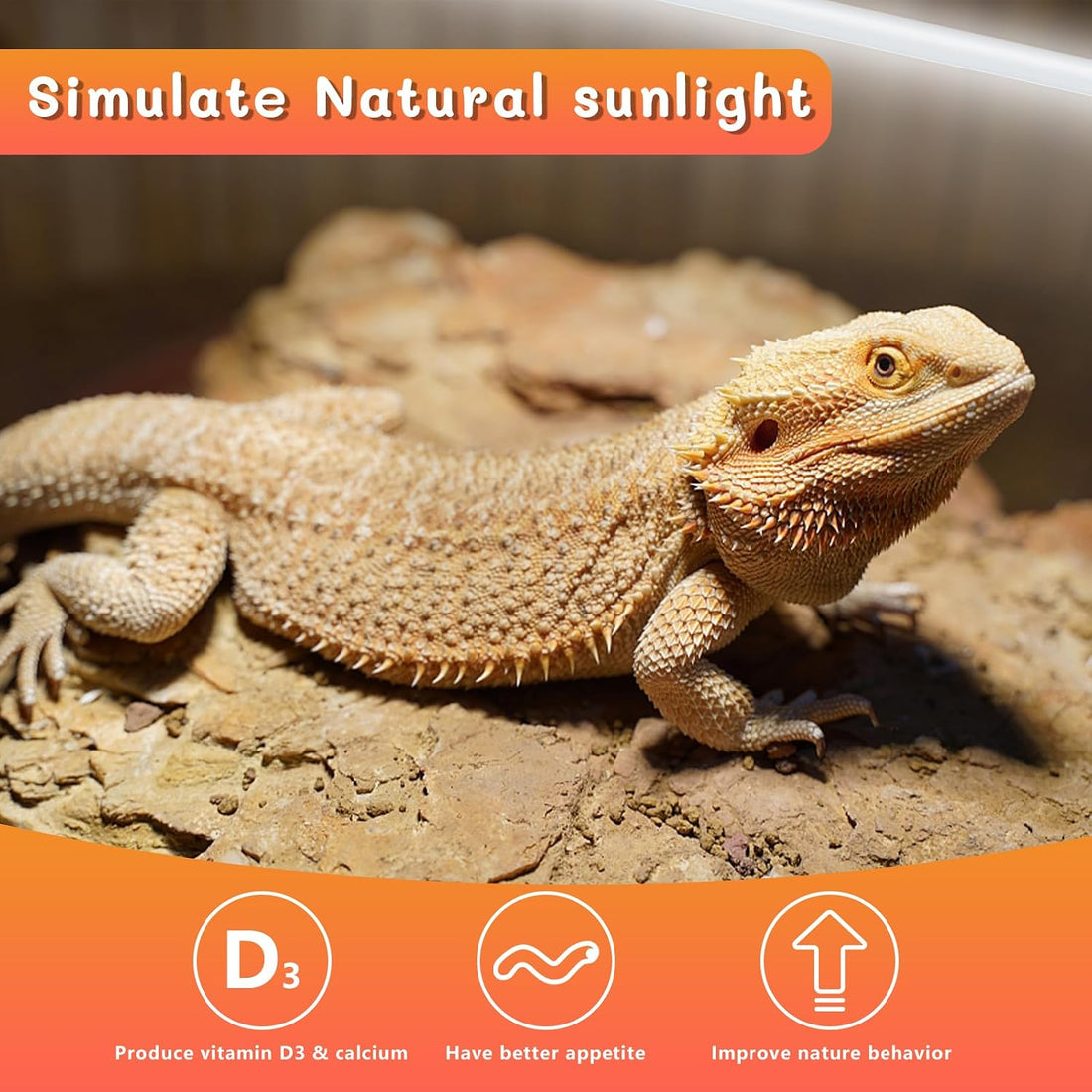 T5 UVB Reptile Light 24W 10.0,UVA UVB Light Bulb for Reptiles,2 Pack