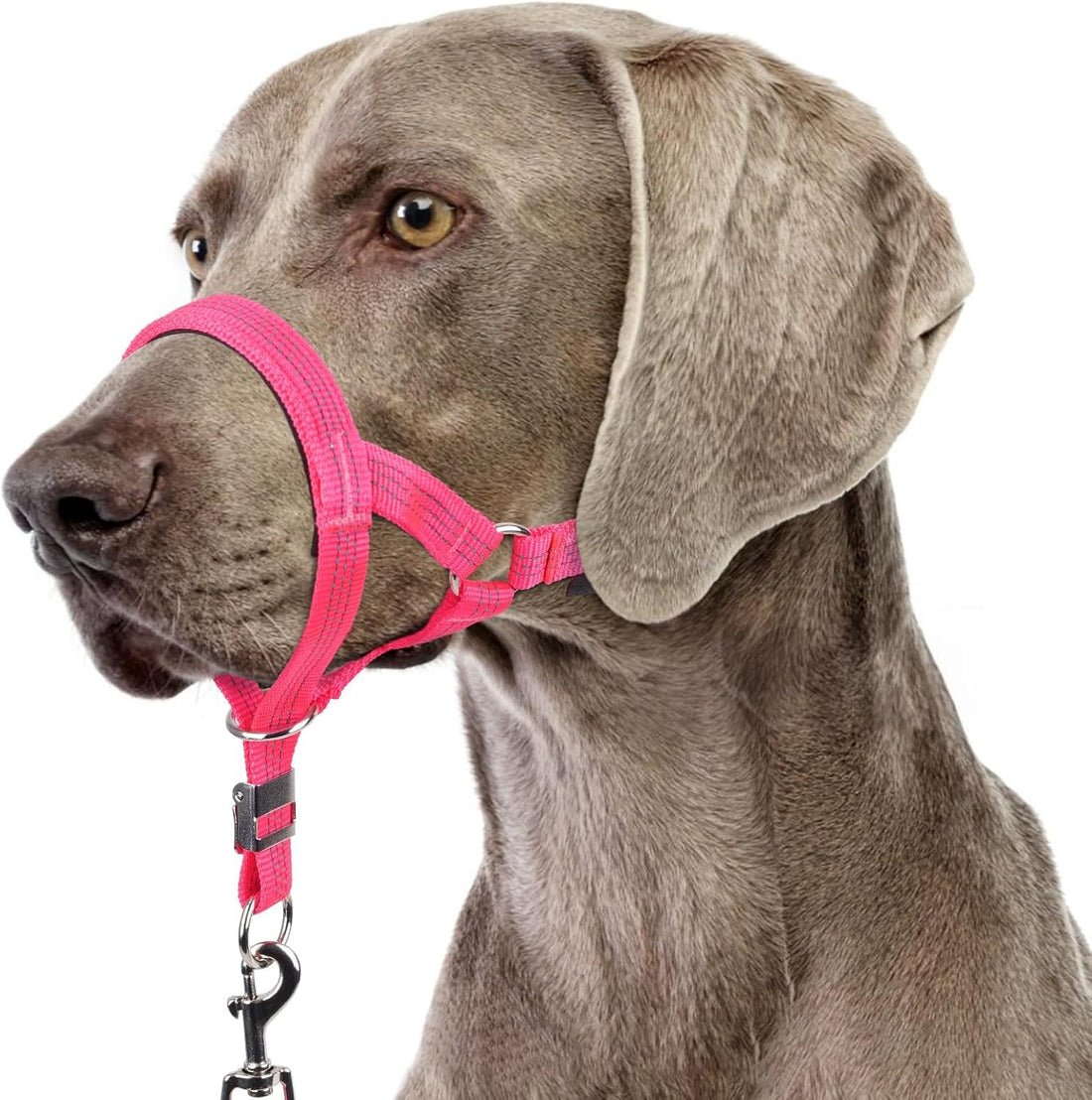 BARKLESS No Pull Head Collar for Medium Large Dogs, Sturdy Head Halter