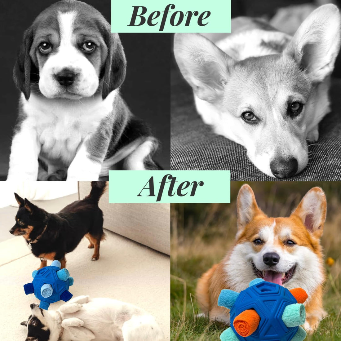 Interactive Snuffle Ball for Dog Toys Unbreakable Upgrade Ball Toy