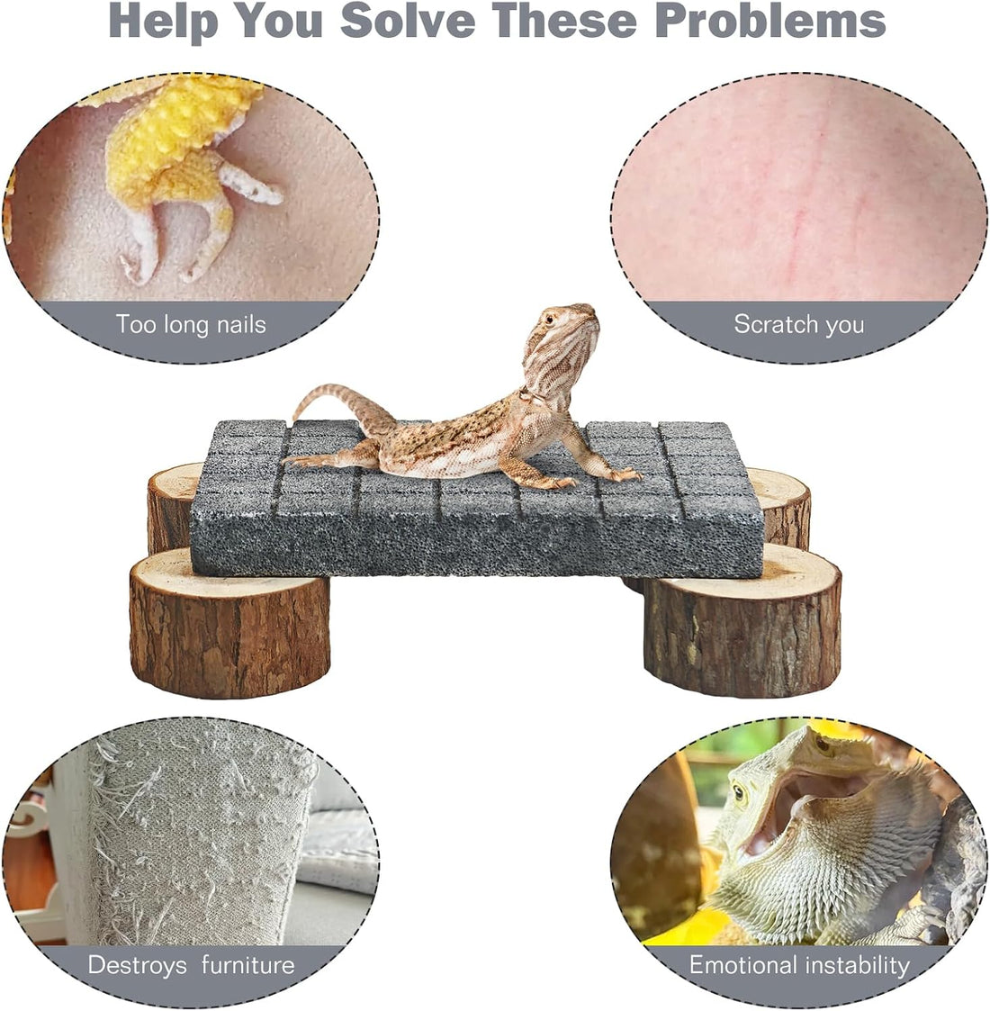 Lizard Scratching Pad, Volcanic Rock Basking Platform with Wooden