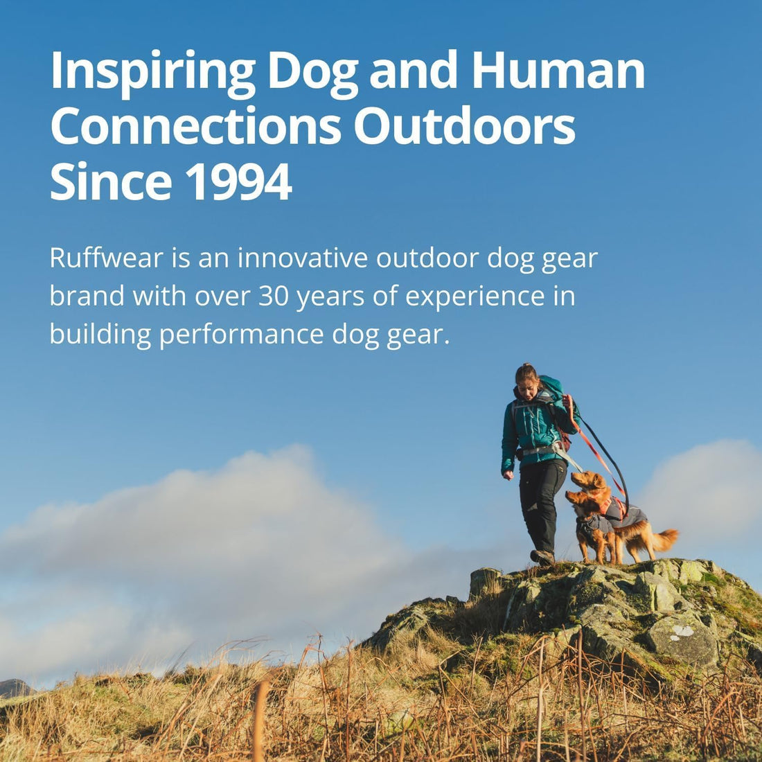 Ruffwear, Grip Trex Dog Shoes - 2 Count, Obsidian Black, 2.50"