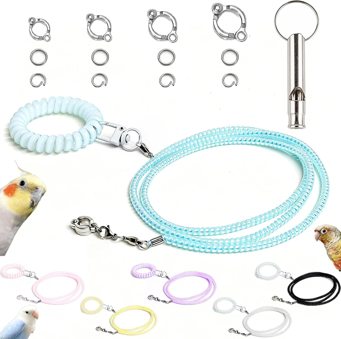 Parrot Flying Leash with 4 Size Foot Rings & Training Whistle