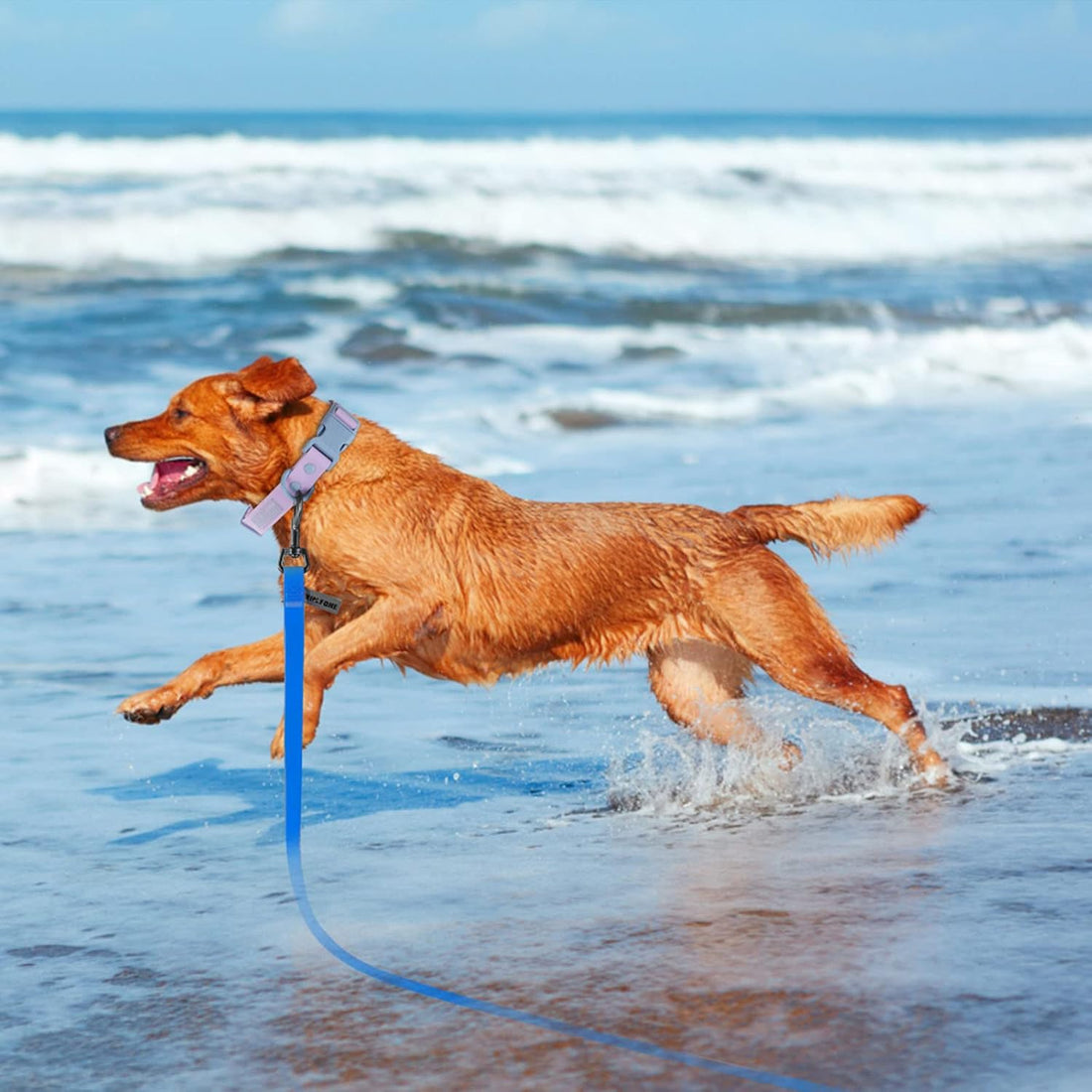 Wolfone Waterproof Dog Leash 20FT Long Line Recall Training Lead