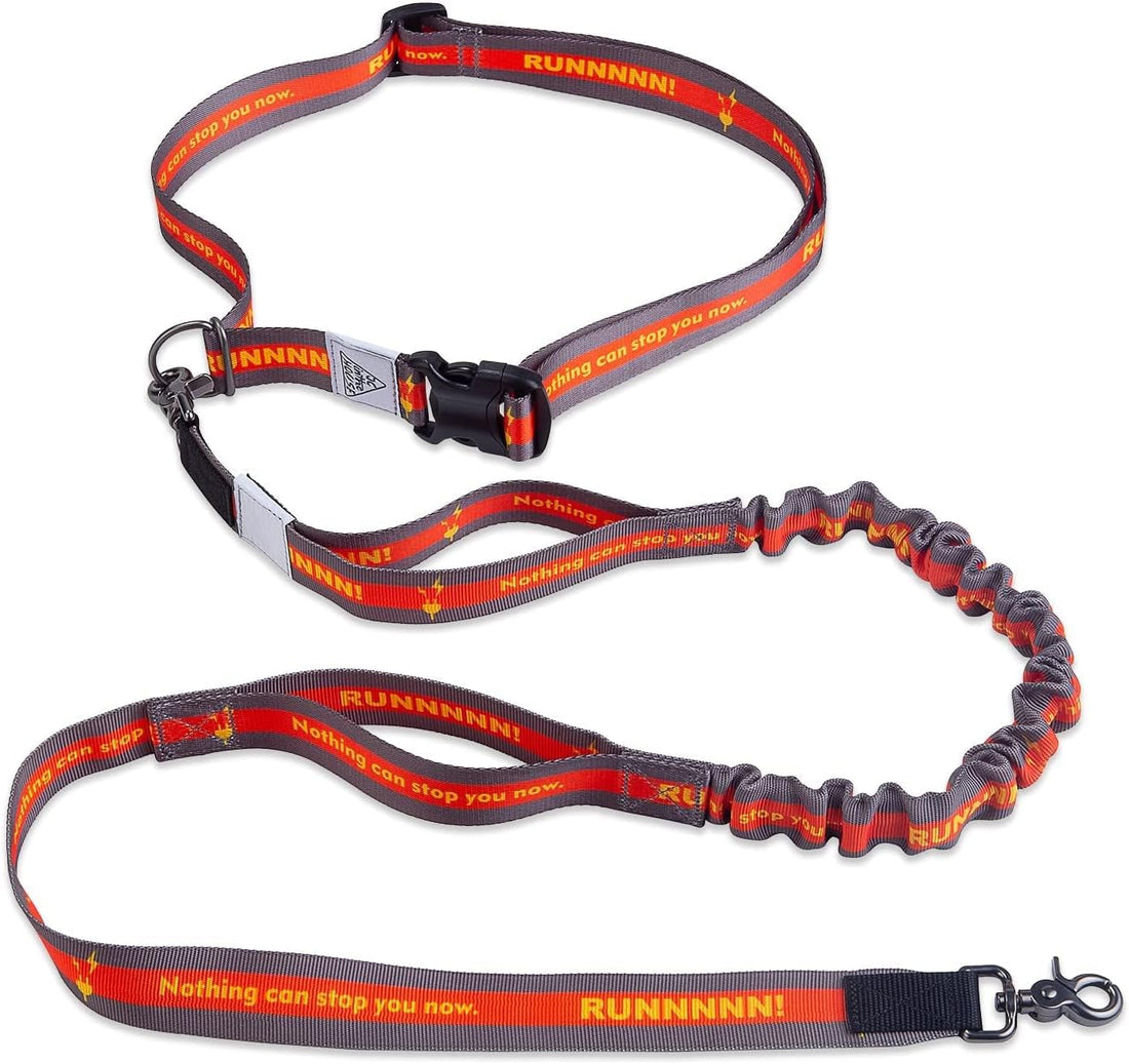 Hands Free Dog Leash,Waist Belt, Shock Absorbing Bungee, Dual Handles