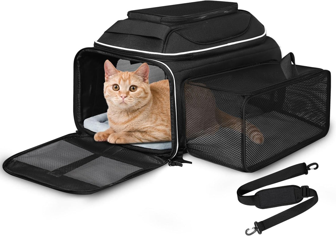 Petskd Top and Side Expandable Small Pet Carrier Airline Approved
