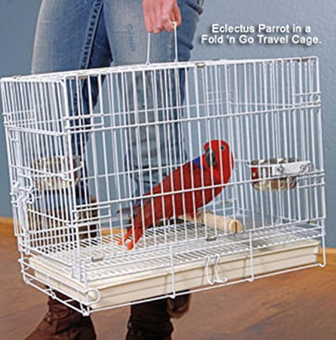 Large Easy Portable Durable Metal Travel/Veterinary Parrot Bird