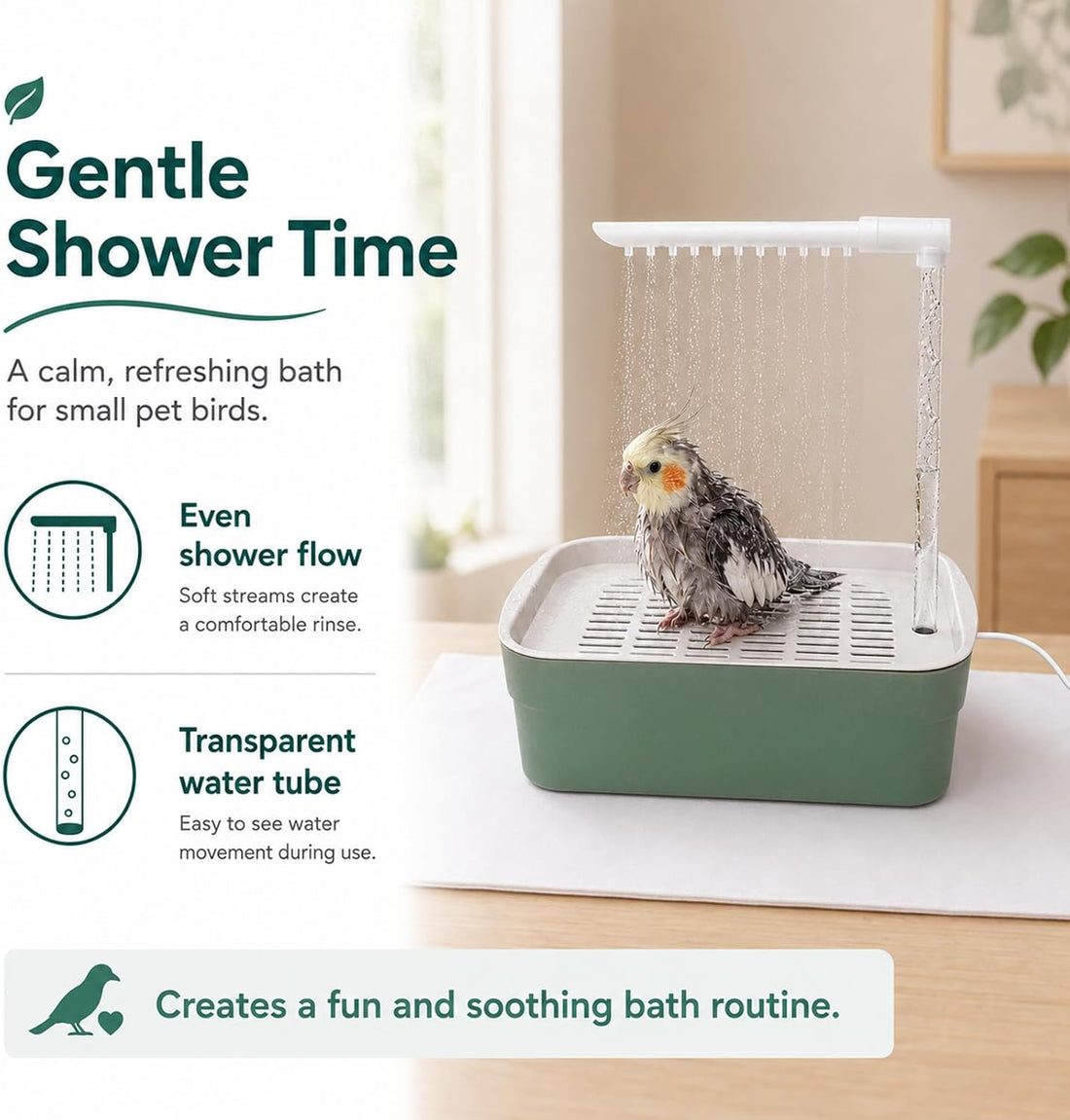 Parrot Bathtub Indoor Automatic Bath Shower,Bird Bath with Pump(small)