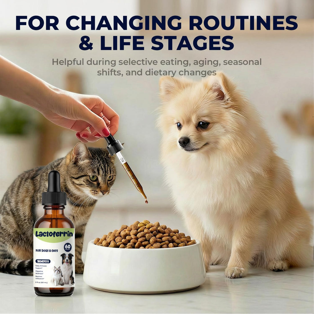 Lactoferrin Liquid Supplement for Dogs & Cats, Daily Immune Support