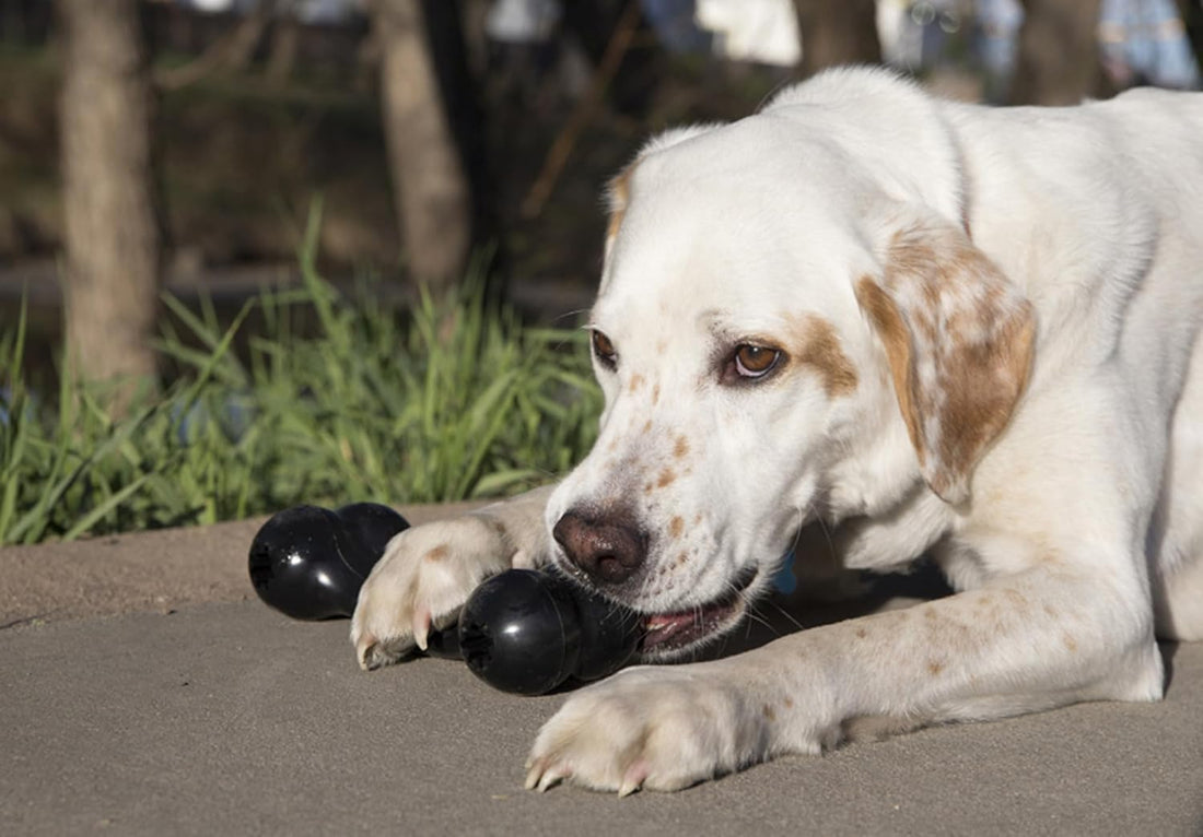 KONG Extreme Goodie Bone, Durable Natural Rubber, Black