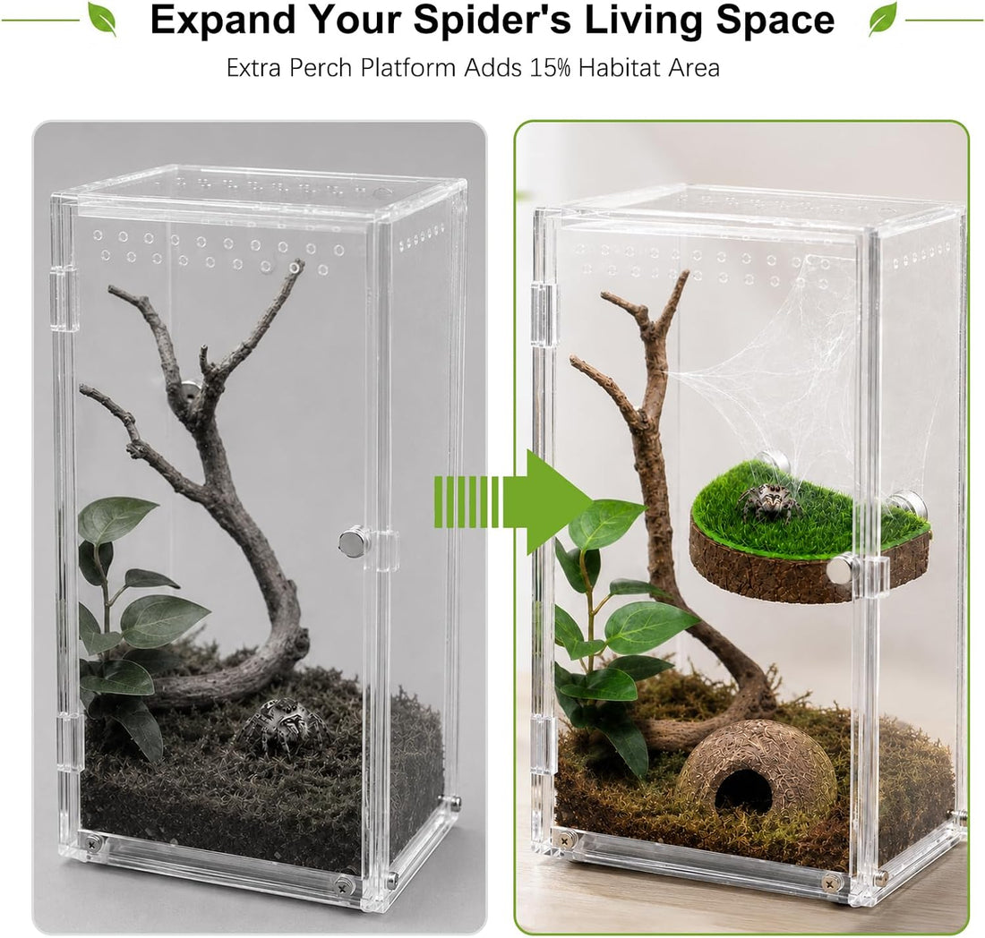 15 Pcs Jumping Spider Water Dispenser Set,Drown-Free Capillary