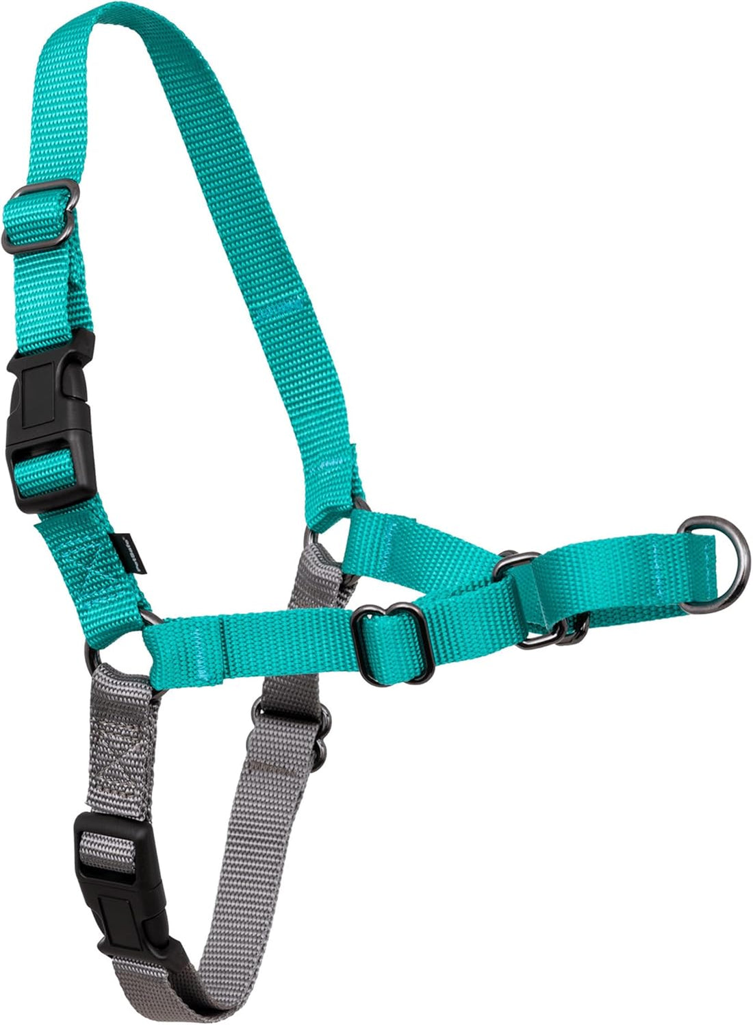 PetSafe Easy Walk Harness, No Pull Dog Harness, Raspberry