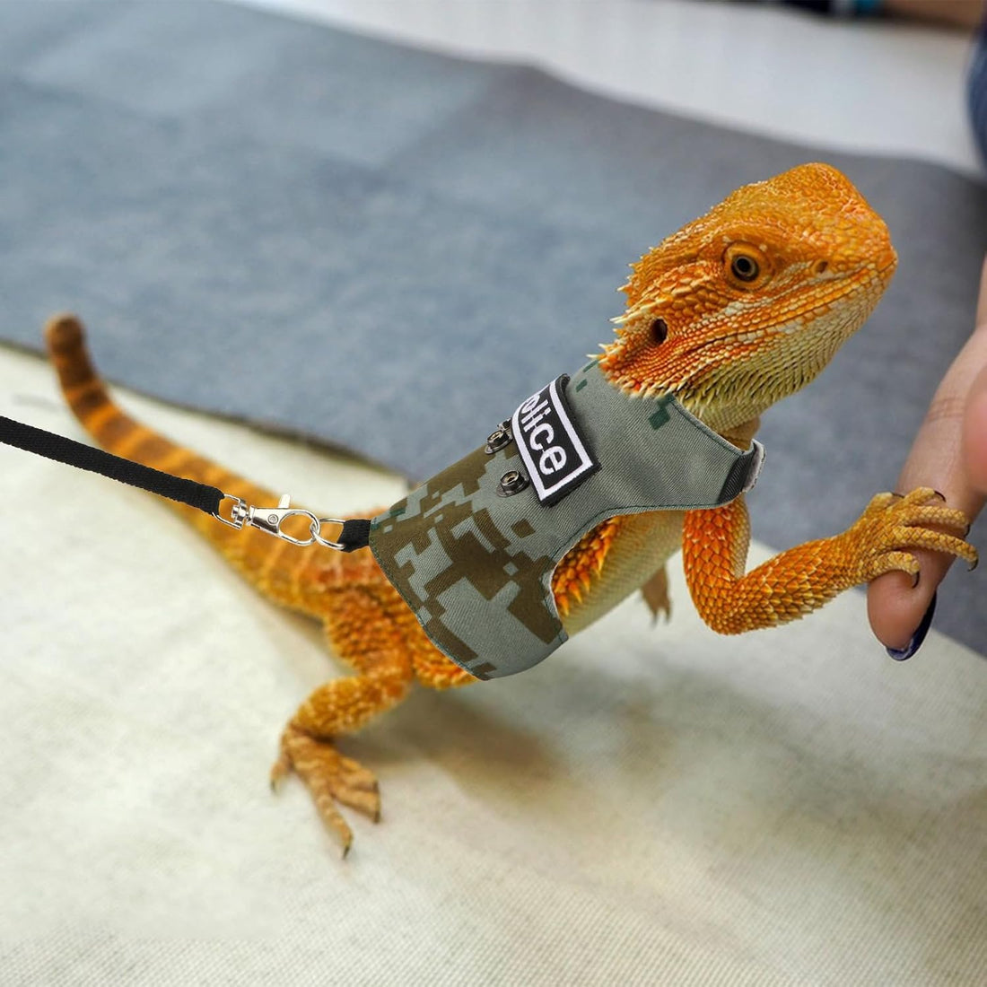 Hypeety Bearded Dragon Harness and Leash Set for Outdoor Walking
