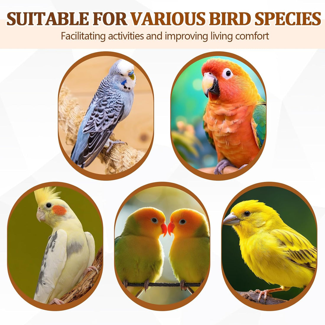 Sintuff Bird Perches Natural Wood Double Slots, 24 Inches, 4 Pcs