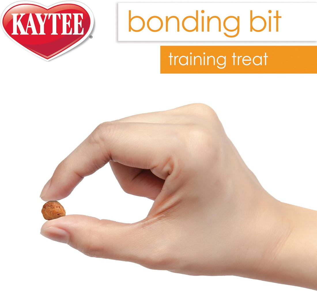 Kaytee Pet Bird Bonding Bits Training Treat for Conures, Cockatiels