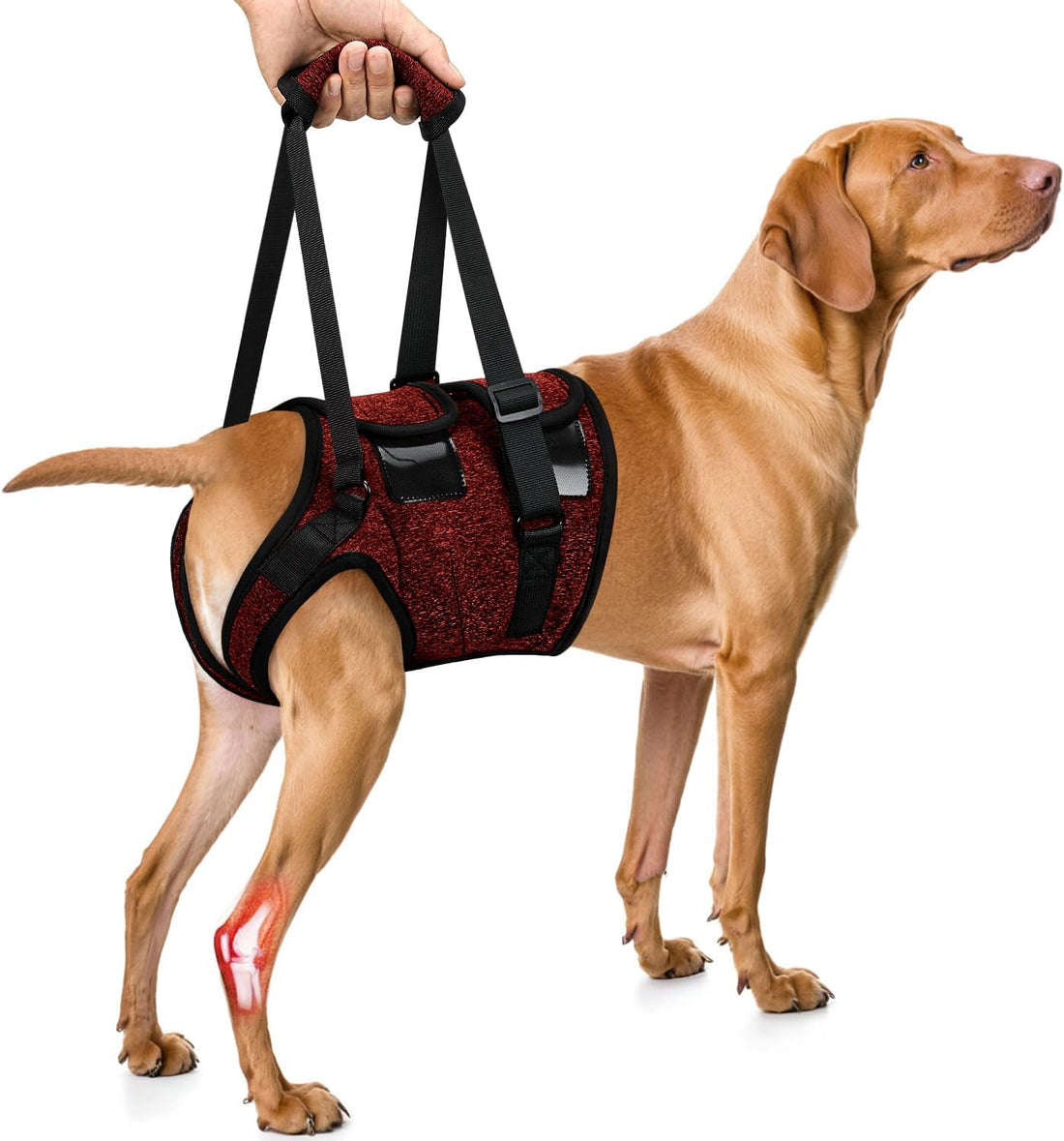 SlowTon Dog Lift Harness, Adjustable Dog Sling for Medium Large Dogs