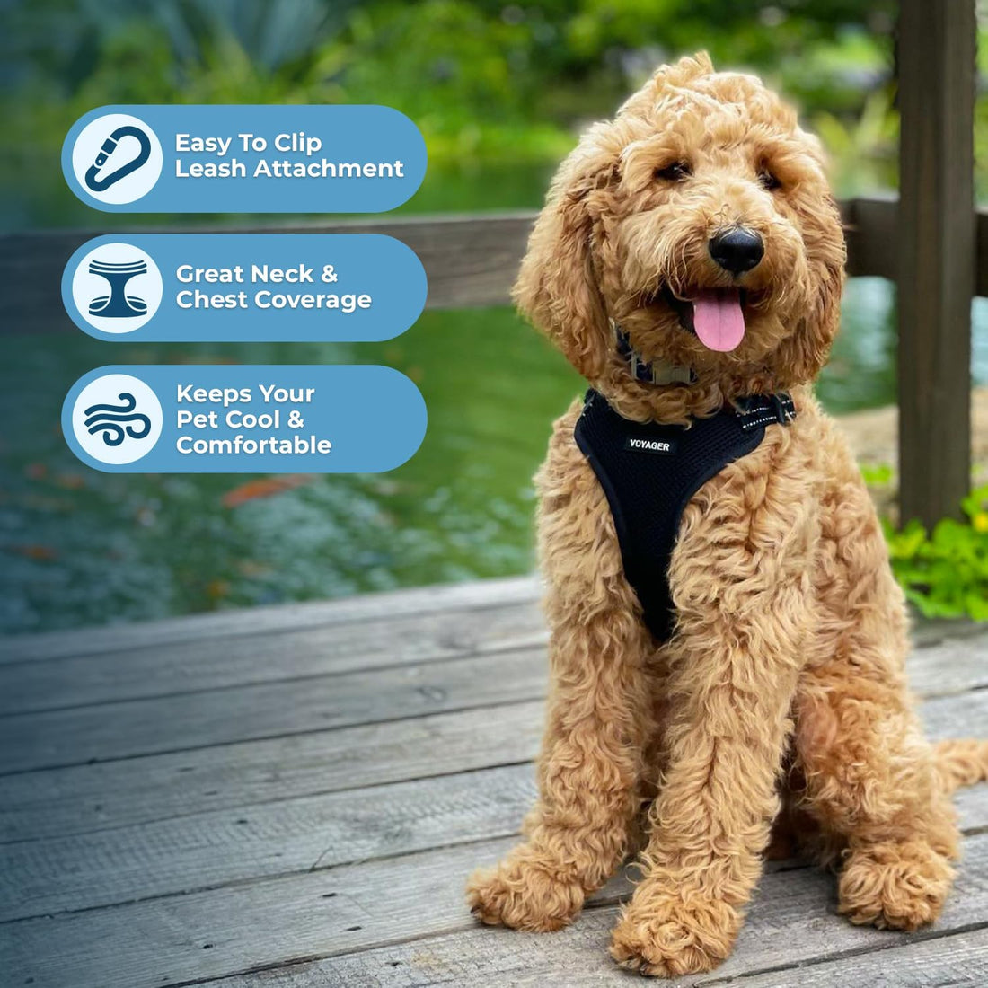 Voyager Step-in Flex Adjustable Dog Harness - Black, Medium