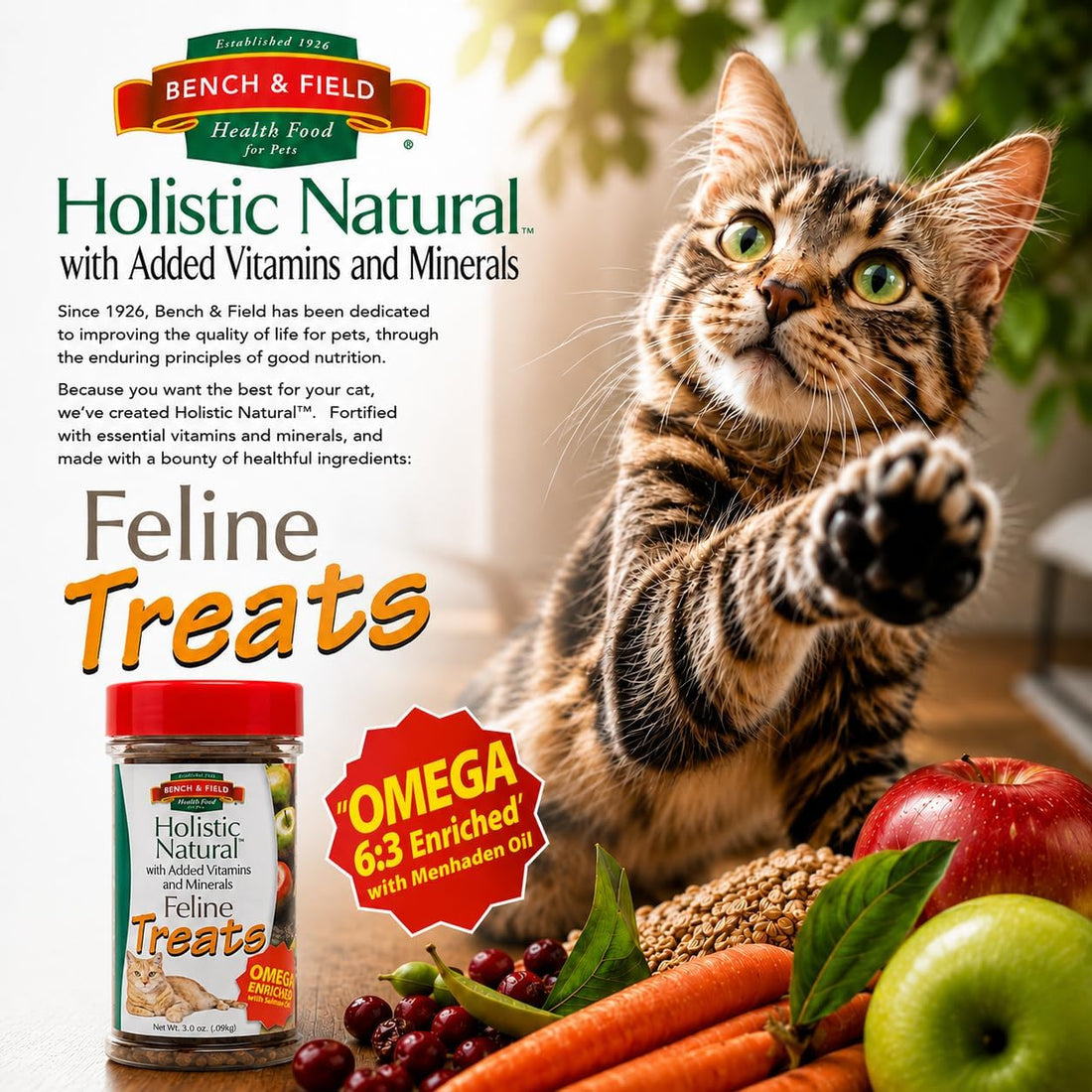 Bench & Field Holistic Natural Healthy Kitty Cat Treats