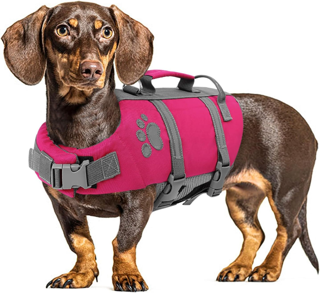 Queenmore Small Dog Life Jacket