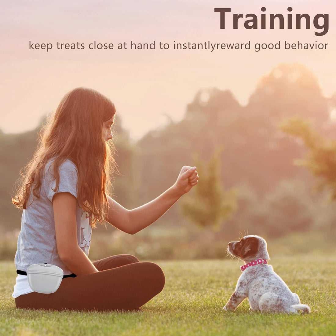 MGKSHADOW Dog Treat Pouch 2 Pack, Dog Treat Training Pouch
