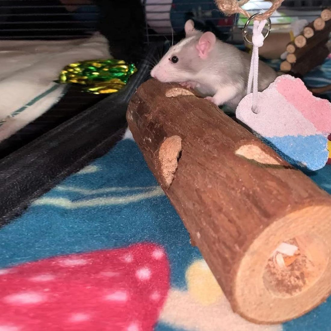 Natural Wood Tunnel Hamster Tunnel for Hamster Reptile Small Animals