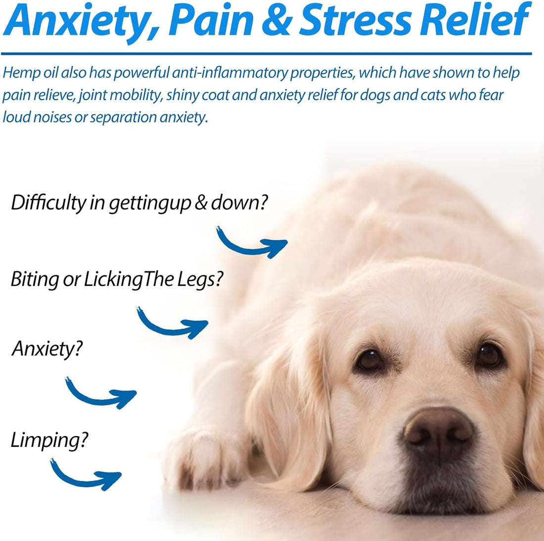 Oil for Dogs & Cats 60ML,Pet Oil for Pain,Skin,Arthritis Pain,Pain
