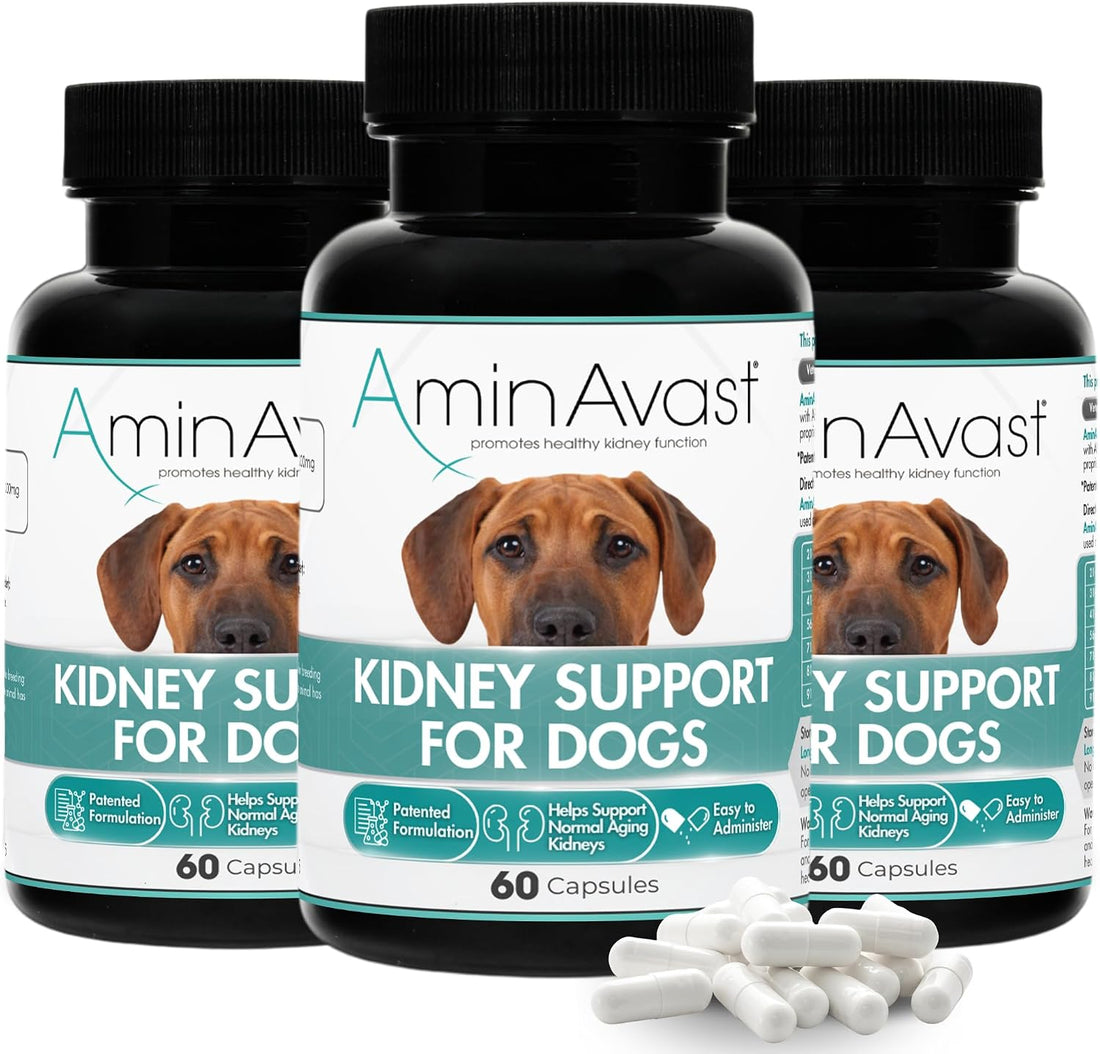 AminAvast 1000 mg Kidney Support for Dogs, 3 Bottles