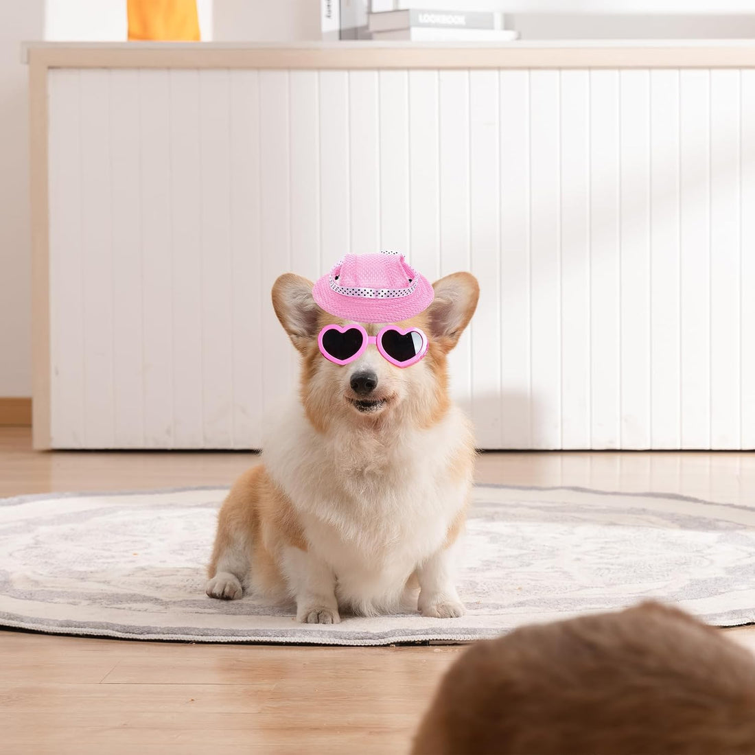 choyaxo Dog Sun Hat Set Including Dog Visor Sunbonnet Outfit with Ear