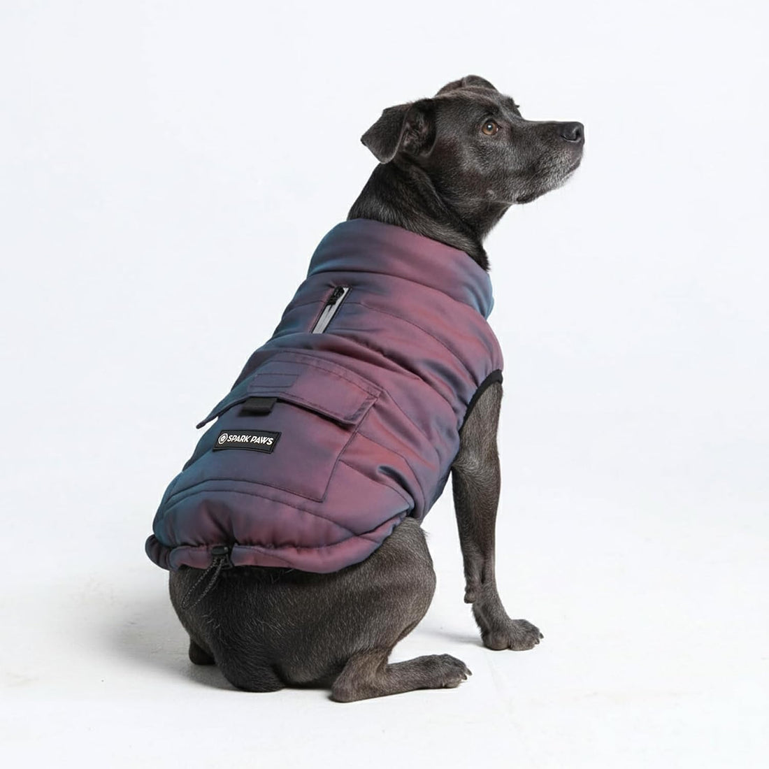 Spark Paws Dog Winter Coat Jacket