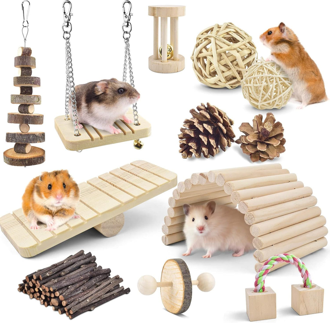 ERKOON 11 Pack Chinchillas Chew Toys, Toys Accessories for Teeth Care