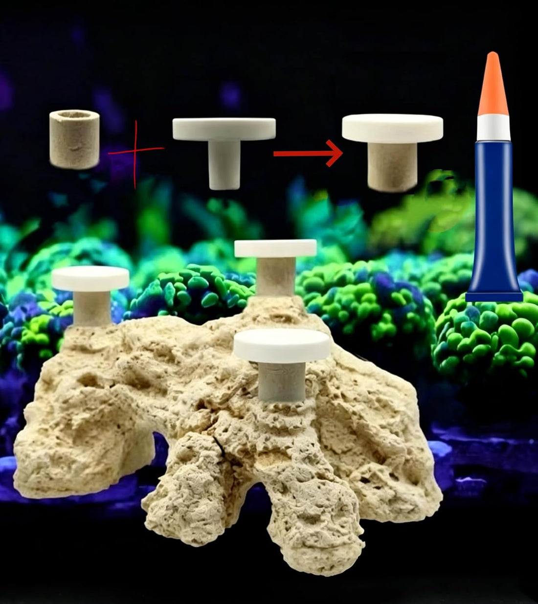 AWXZOM Pluggable Ceramic Coral Frag Plugs 12pcs + Coral Glue