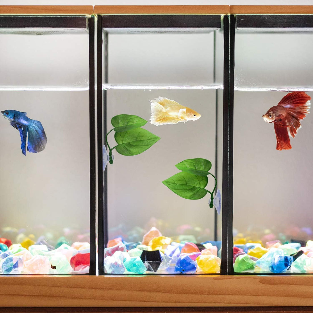 URATOT 4 Pack Betta Fish Leaf Pad Simulating The Natural Habitat