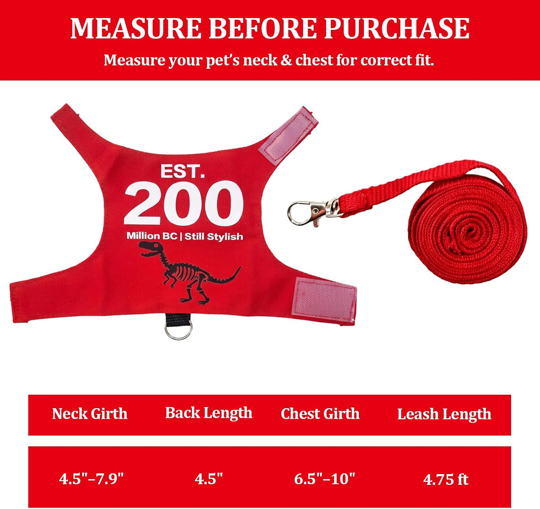 Bearded Dragon Harness and Leash Set