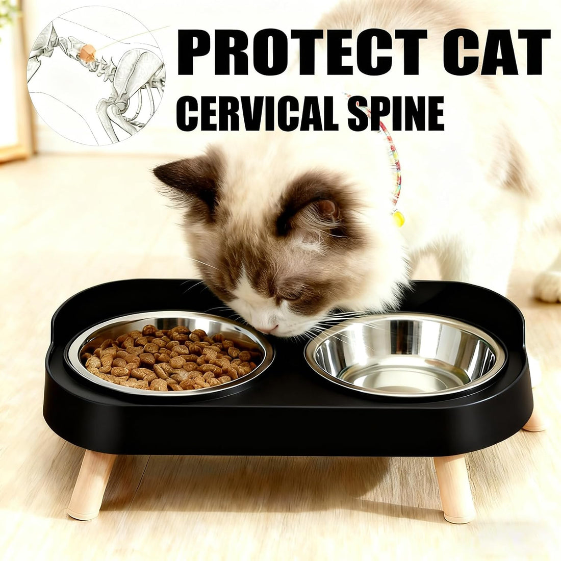 Elevated Cat Bowls, 2 Stainless Steel Raised Cat Food and Water Bowl