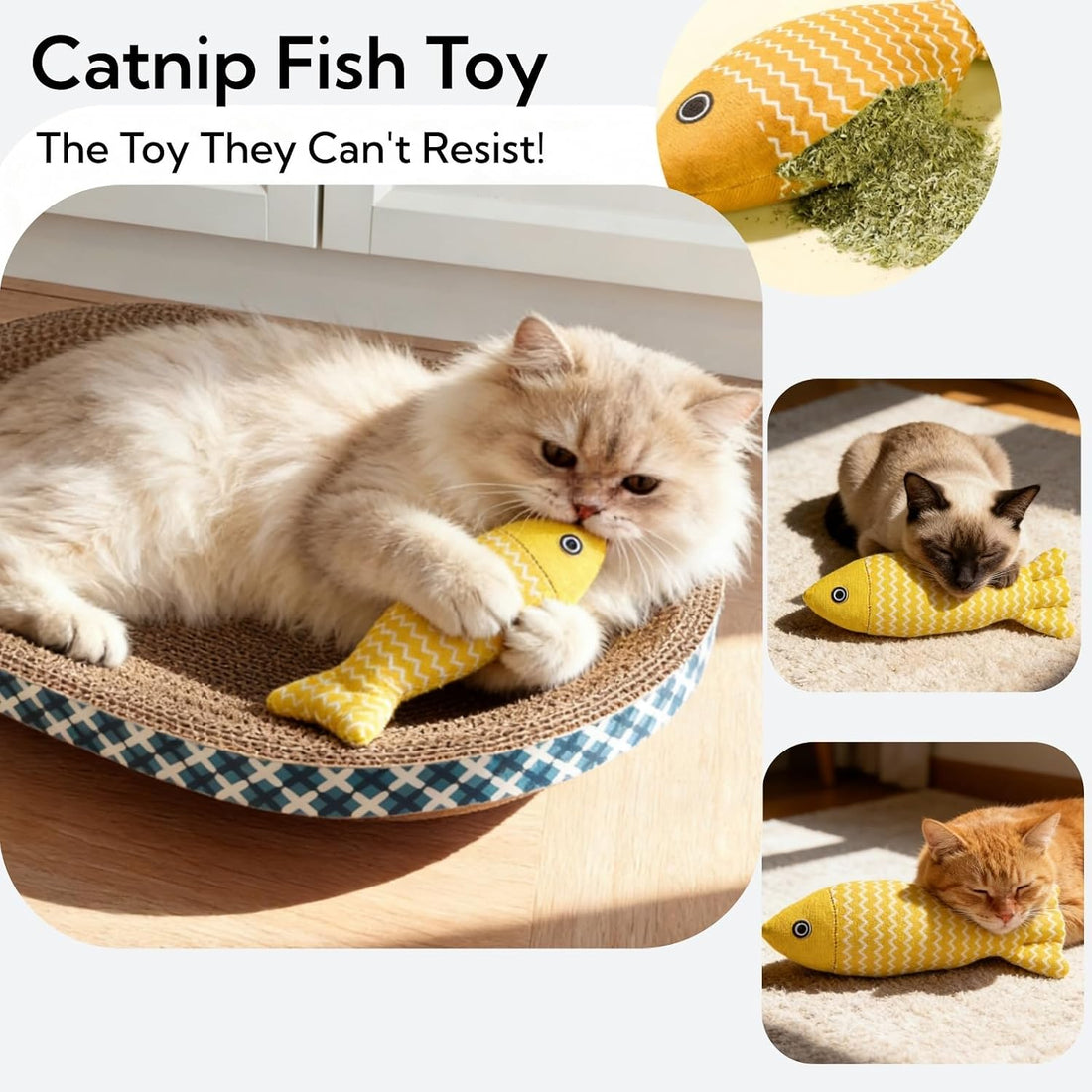 Cat Scratcher Bed with Toys, 2 Pack Oval Cat Scratcher Cardboard