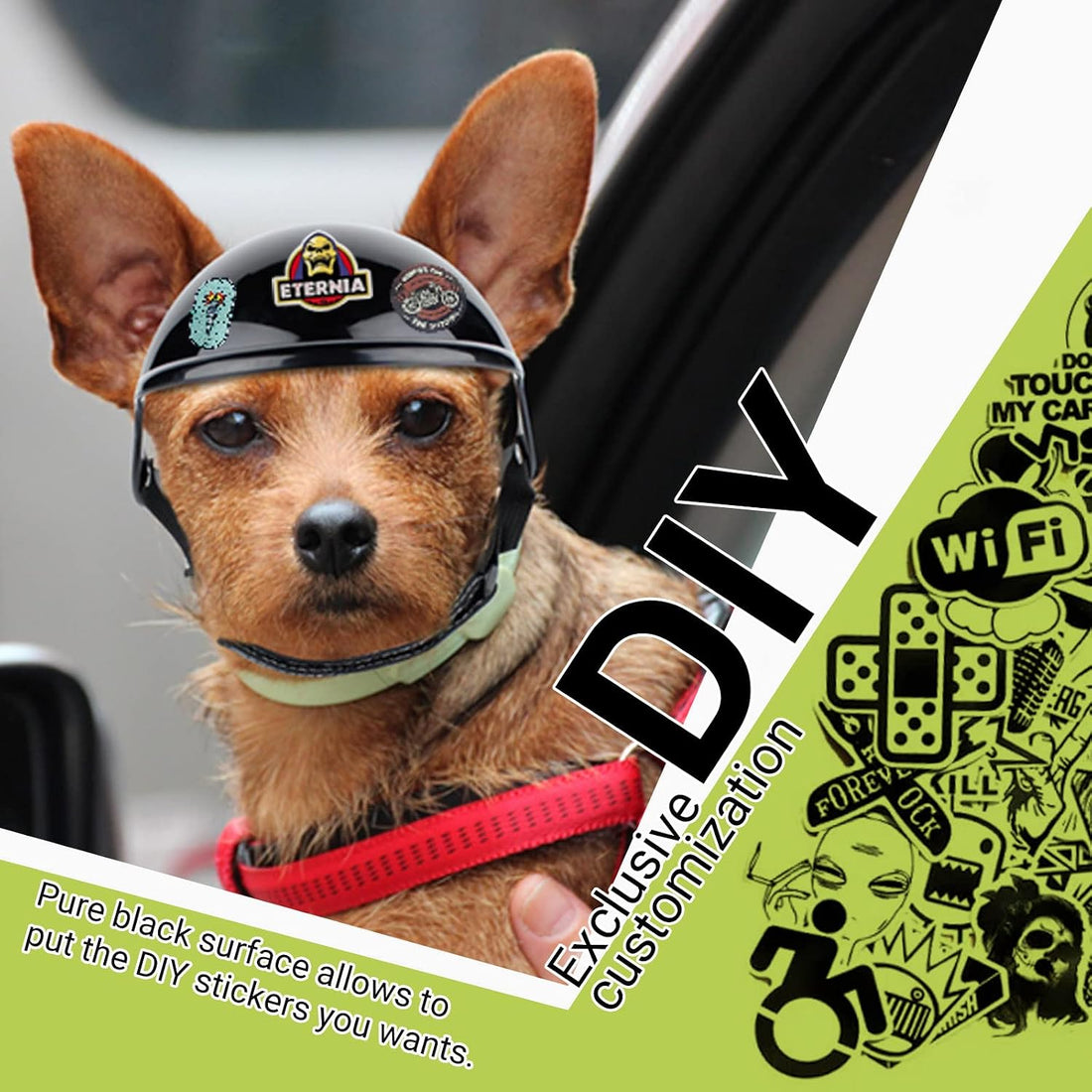 Dog Goggles and Pet Helmet Set