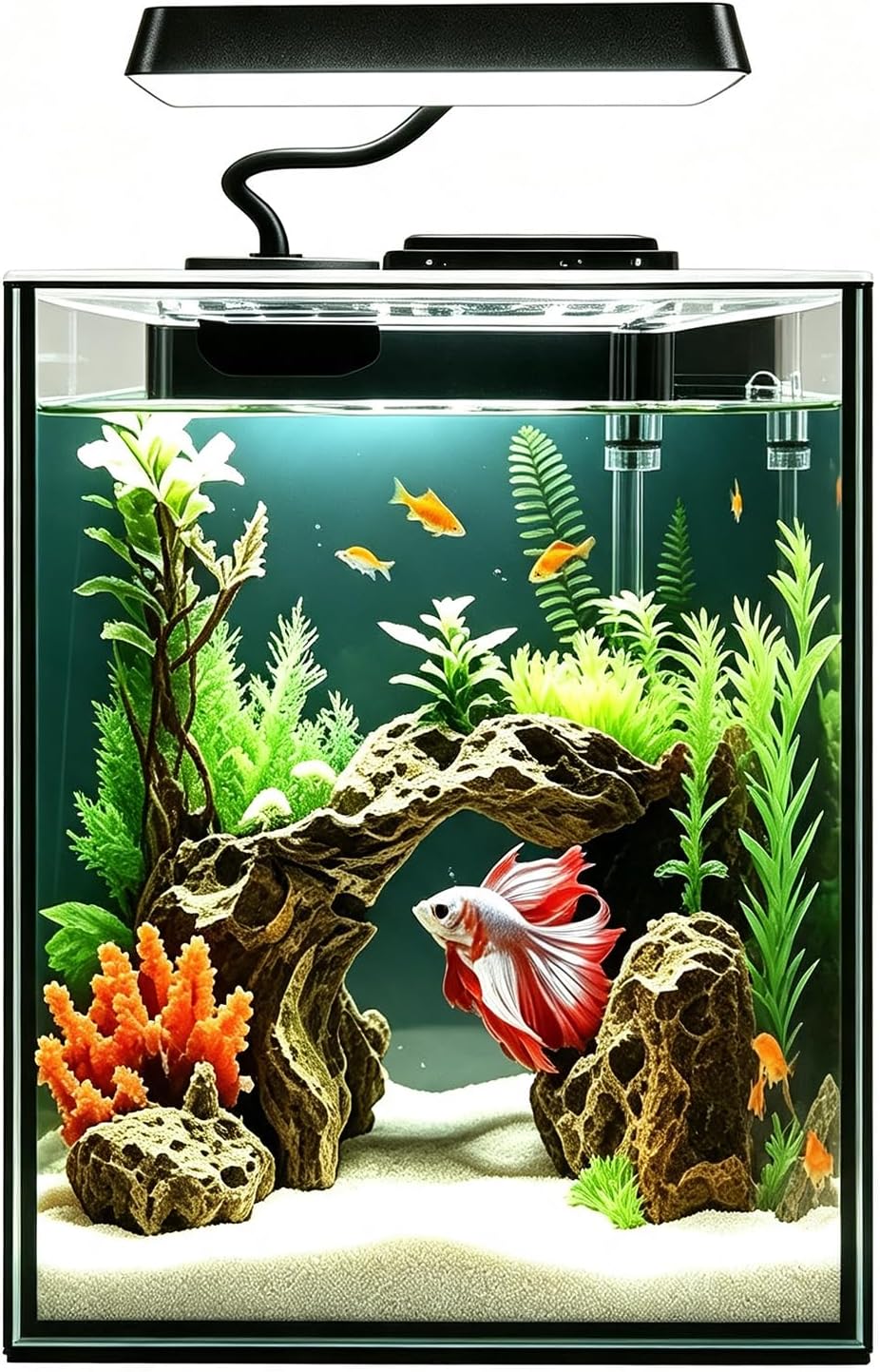 Glass Betta Aquarium Starter Kits 1.5 Gallon Small Fish Tank