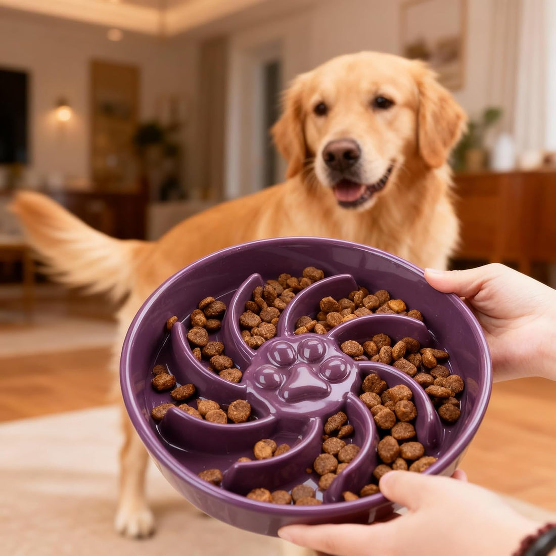 Ceramic Slow Feeder Dog Bowl, 3 Cup Dog Food or 25oz Water