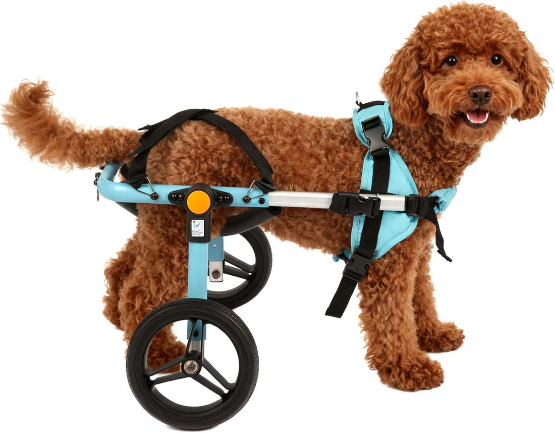 TailWaggers Dog Wheelchair for Back Legs | Adjustable Mobility Aid