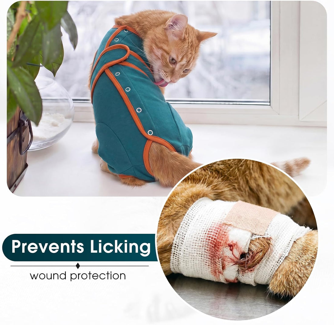 DENTRUN Cat Recovery Suit - Post-Surgery Onesie with Hind Legs