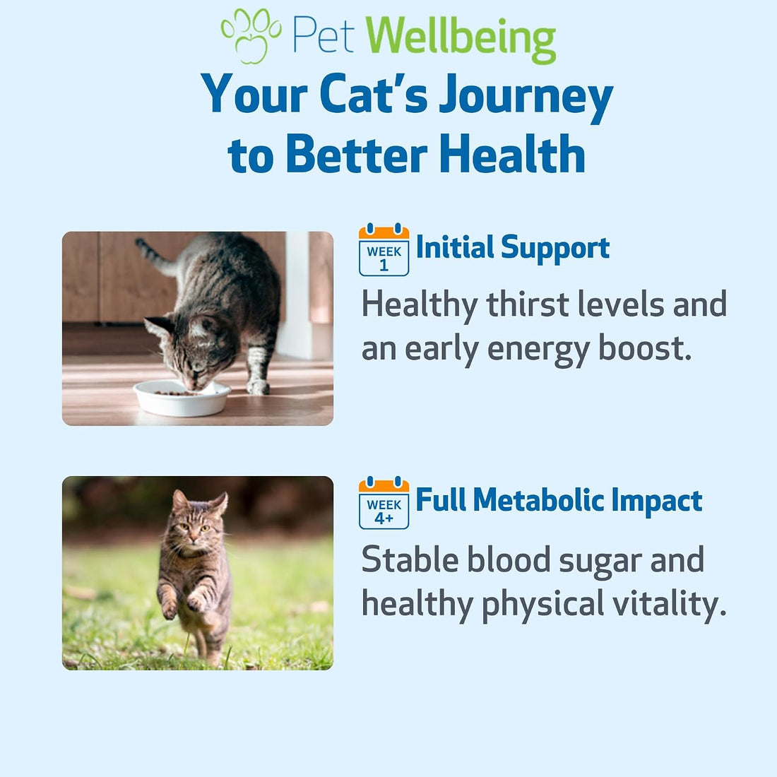 Pet Wellbeing Blood Sugar Gold for Cats - Blood Sugar Support, 2 oz