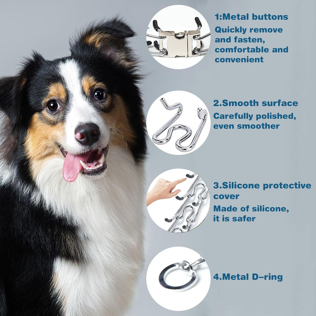Prong Collar for Dogs,Dog Training Collar with One Training Leash