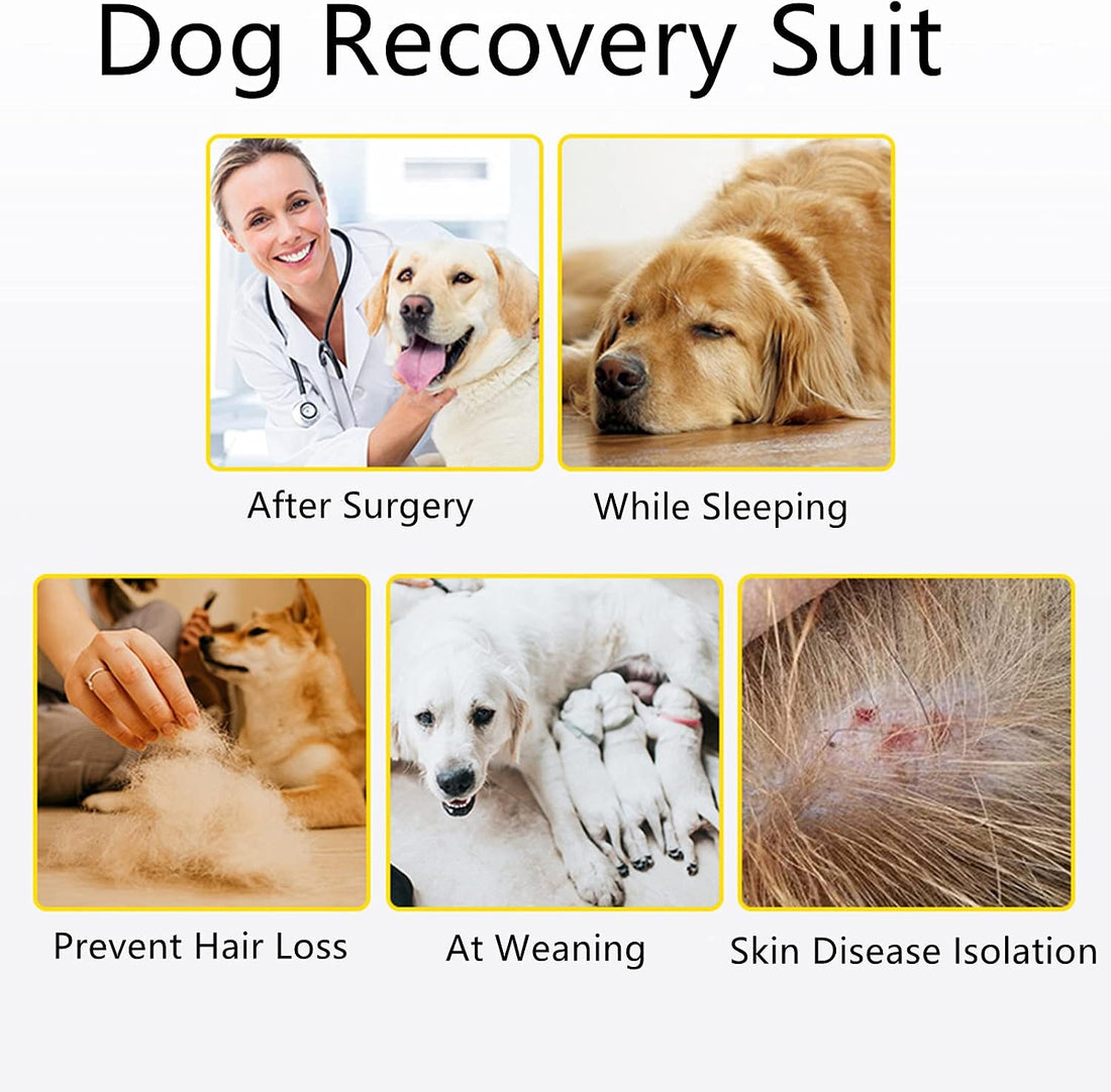 Recovery Suit for Dogs Dog Onesie for Surgery