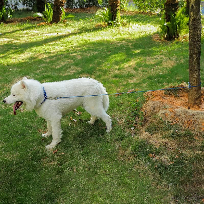 Mi Metty Chew Proof Dog Leash,6FT Metal Cable Lead,Heavy Duty Leash