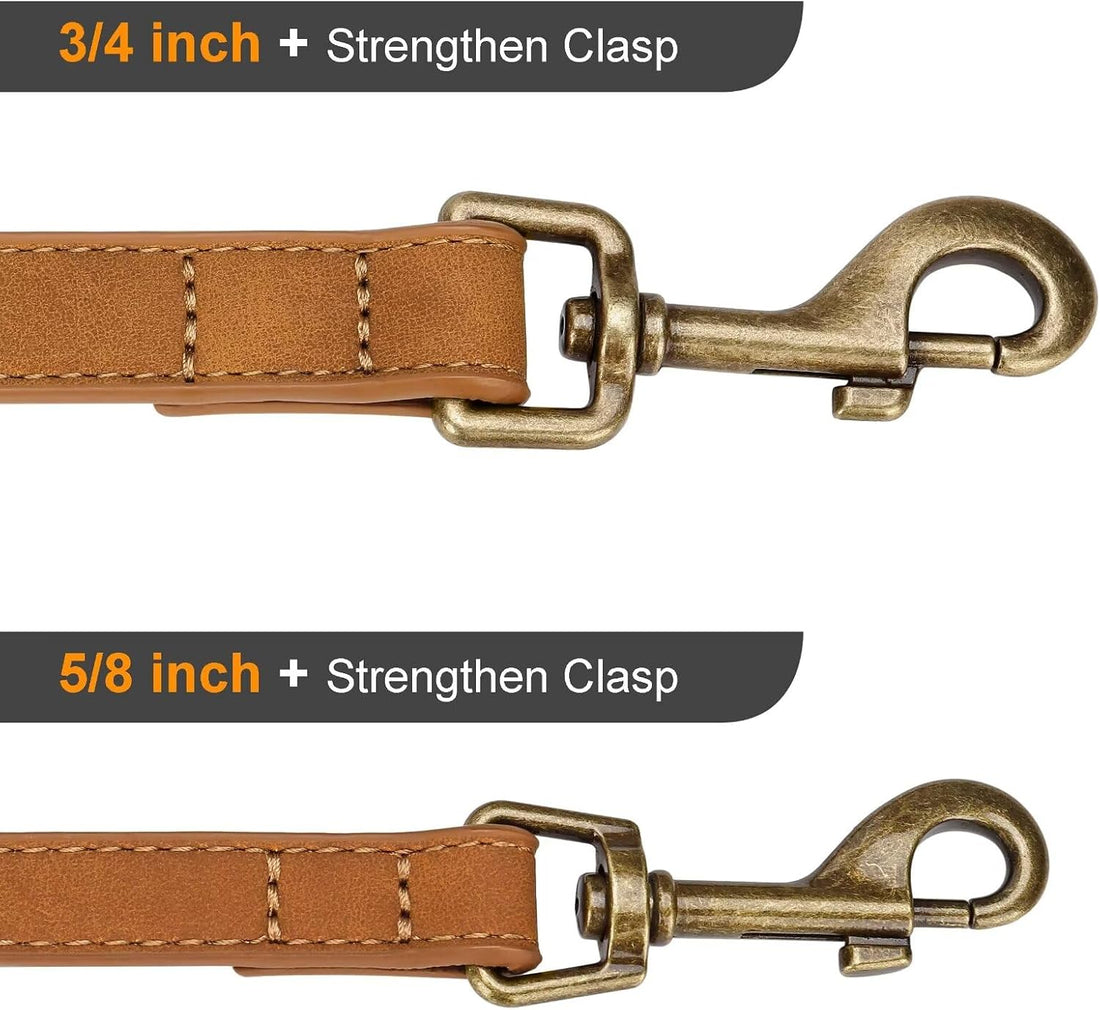 Didog Stylish PU Leather Dog Leash for Medium Dogs