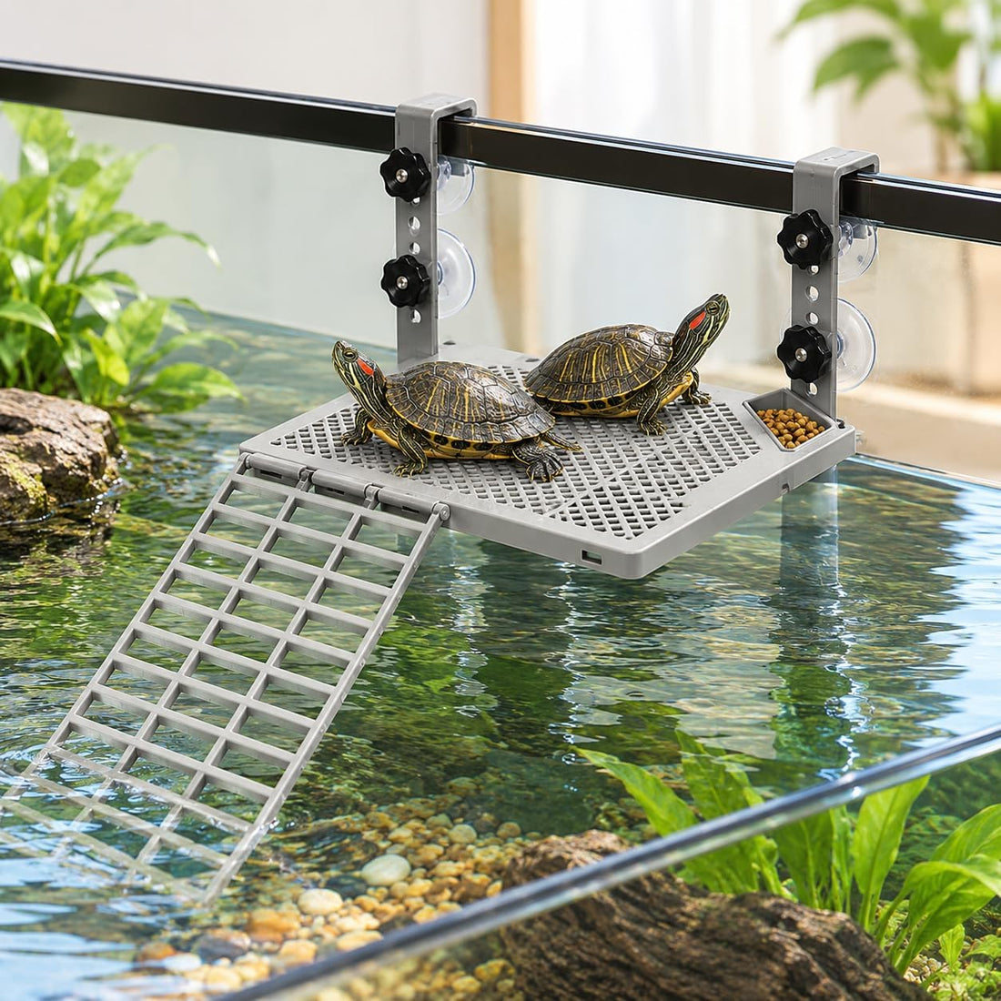 Turtle basking Platform Suitable for 20–75-Gallon Aquariums