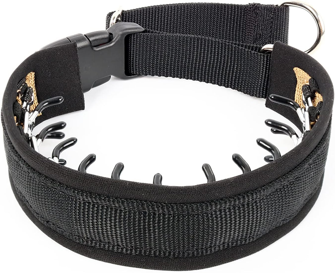 Mayerzon Martingale Dog Collar No Pull, Black, M