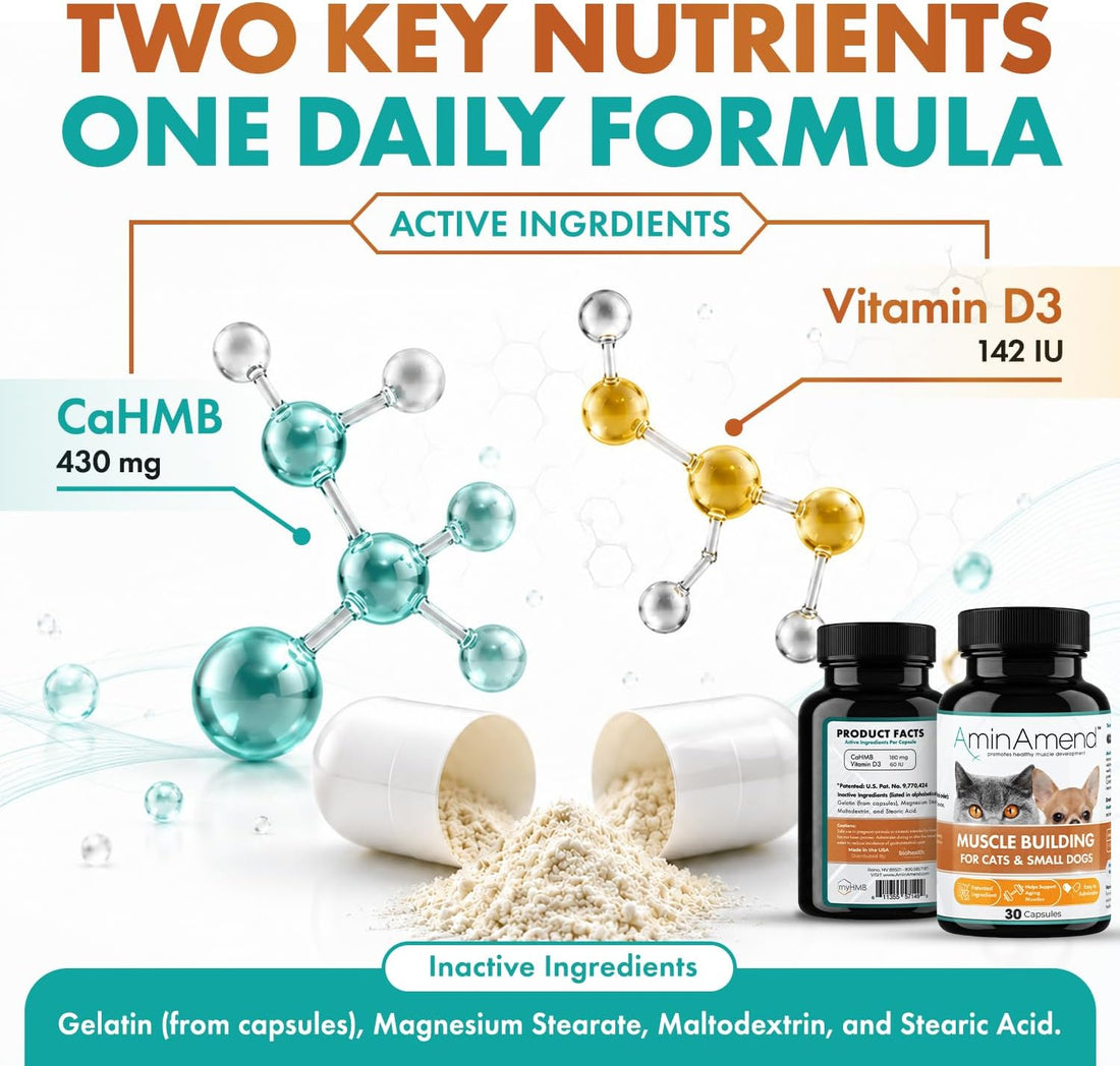 Small Dog & Cat CaHMB Muscle Support Capsules, Vitamin D3, 30 Ct
