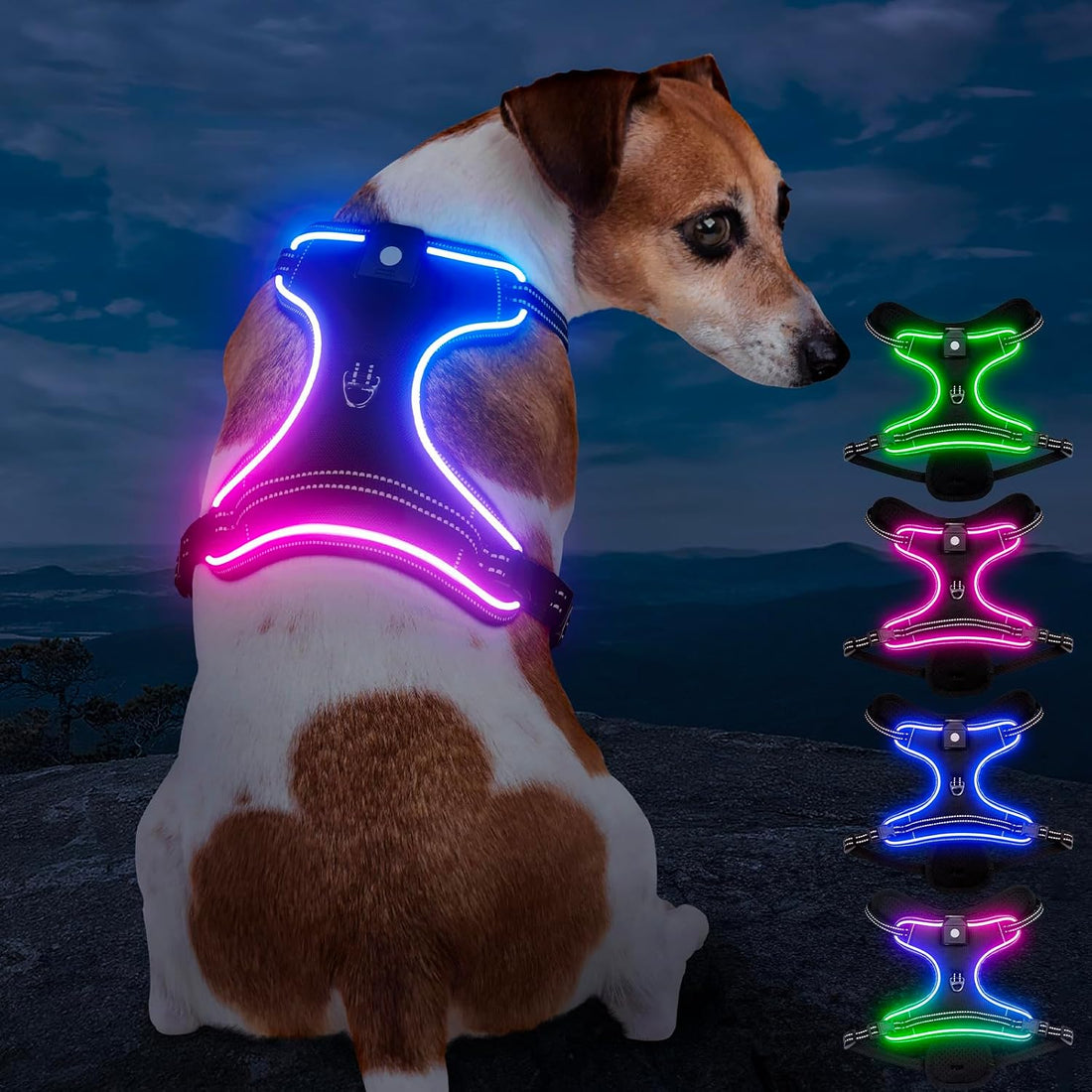 Light Up Dog Harness, LED Rechargeable Safety Dog Harness for Night